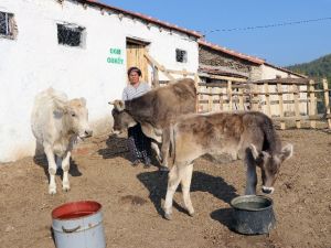 ORKÖY’den Aydın ve Muğla köylüsüne 4,5 milyon TL destek