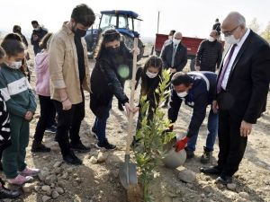 İlkokul öğrencileri Öğretmenler Günü’nü MCBÜ’de fidan dikerek kutladı