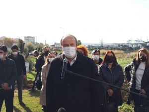 Avcılar’da kadınlar için zeytin ağaçları dikildi