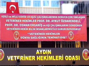Başkan Şahin; “Veteriner hekimler, dünya sağlığının teminatıdır”
