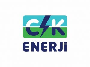 Pandemi, elektrik tüketicilerinin öncelik ve beklentilerini değiştirdi