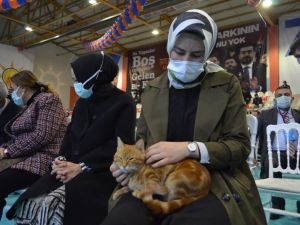 Genç Vekil’den korona reçetesi