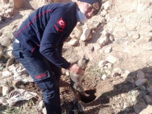 Su kuyusuna düşen köpek, itfaiye ekiplerince kurtarıldı