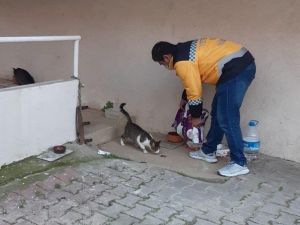 Eyüpsultan’da sokak hayvanları unutulmuyor