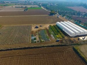 Muğla Büyükşehirden ‘Akıllı Tarım’ çiftliği