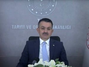 Tarım ve Orman Bakanı Bekir Pakdemirli: “Son 2 yılda tarımsal hasıla yüzde 47 arttı”