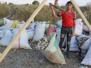 Pamuk kıymete binince, makineden arta kalanlar da toplanmaya başladı