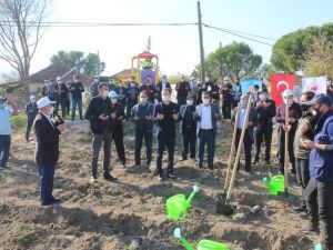 Karpuzlu Gölcük’te lavanta fidanları dualarla toprakla buluşturuldu