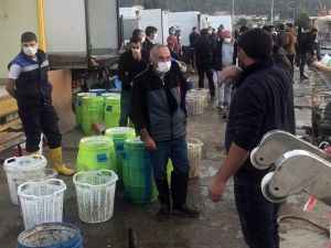 Aydın’da deniz patlıcanı avcılığı devam ediyor