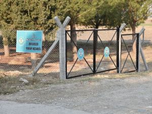 Manisa’da mezarlık güvenliğine hassas çalışma