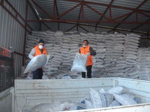 Kuşadası Belediyesi 2 bin aileye 400 ton kömür dağıtıyor