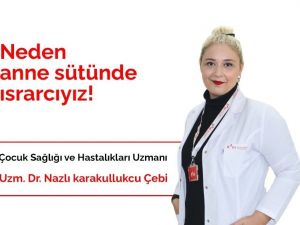 Anne sütü obezite riskini düşürüyor