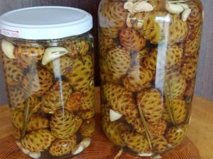 Süs olarak kullanılan kozalaklar şifa kaynağı oluyor