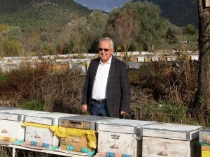 TAB Başkanı Şahin’den "arı ürünleri uyarısı"