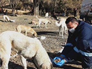 Sincan’da korona virüs tedbirleri