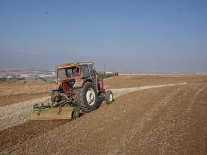 Akyurt’a 25 dönümlük meyve bahçesi