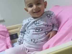 Samsun’da 2.5 yaşındaki İclal acil trombosit bağışı bekliyor