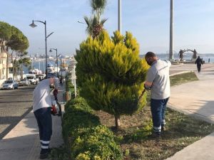 Didim’de yeşil alan çalışmaları sürüyor