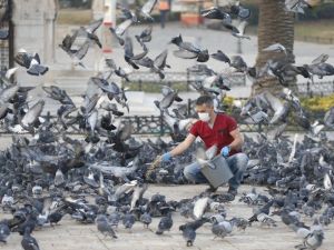 Konak evde, belediye görevde