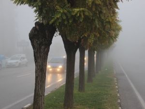 Manisa güne sisle uyandı