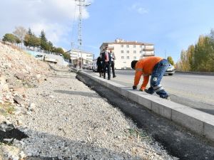 Malayı eline aldı, bordür taşı döşedi