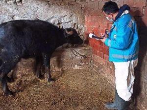 Kütahya’da “Halk Elinde Anadolu Mandasının Islahı” projesi