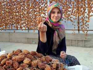 Cennet hurması, altın yılını yaşıyor