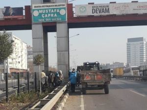 Mimar Sinan Bulvarı artık daha yeşil