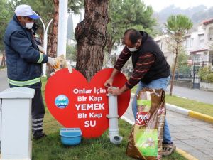 Söke’de Pandemi sürecinde sokak hayvanları aç kalmayacak