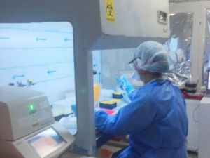 Aydın İl Sağlık Müdürlüğü PCR testleri hakkında vatandaşları bilgilendirdi