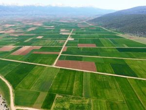 Aydın, Denizli ve Muğla’da 19 bin 861 hektarda toplulaştırma yapıldı