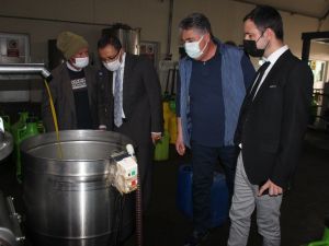 Üzümün başkentinde zeytin üretimi artıyor