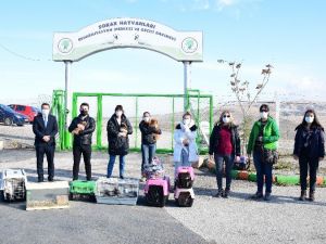 Başkent’te petshoplara yapılan baskında 21 hayvana el konuldu