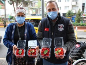 Korona virüs dağ çileğine olan ilgiyi arttırdı