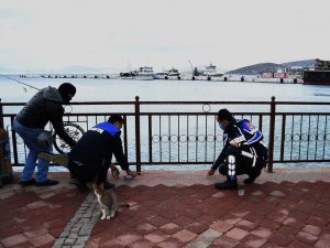 Kuşadası’nda olta balıkçılarına korona virüs denetimi