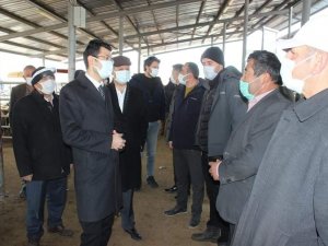 Canlı hayvan pazarında korona denetimi
