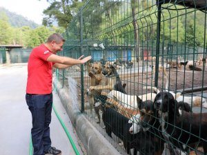 Marmaris’te can dostlar unutulmuyor
