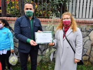 Beyoğlu’nda yeni doğan her çocuk için bir zeytin fidanı dikiliyor