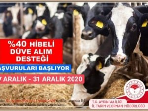 Aydın’da çiftçilere düve alım desteği verilecek
