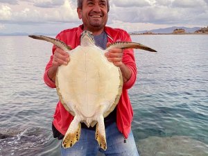 Caretta Caertta deniz kaplumbağasını balıkçılar kurtardı
