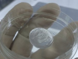 ESOGÜ yapay doku ve biyomalzeme üretmeye hazırlanıyor