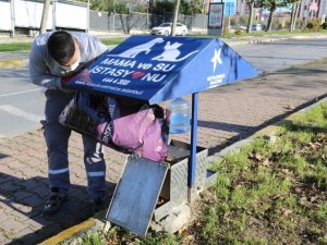 Küçükçekmece’de kısıtlamalarda sokak hayvanları unutulmuyor