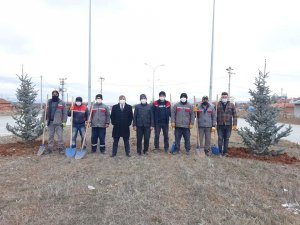 Altıntaş’ta çevre yolu ağaçlandırma çalışmaları