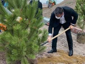 Pursaklar’da ağaçlar toprakla buluştu