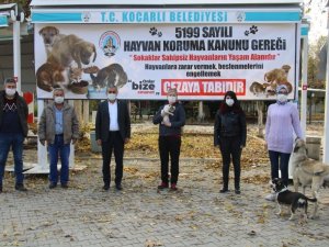 Koçarlı’ya hayvan hakları ile ilgili bilgilendirme pankartları asıldı