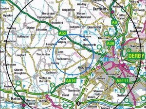 İngiltere’de yüksek derecede bulaşıcı “kuş gribi” salgını