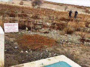 Tavşanlı’da 9 dekarlık ceviz bahçesi destekleme kapsamına alındı