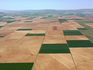 Tarımın birçok alanına yüzde 50 hibe desteği sağlanacak