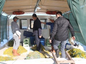 Milas’ta yasadışı su ürünleri avcılığının önlenmesi için denetimler sürüyor