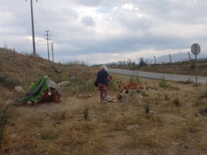 Sokak hayvanları pandemide mağdur oluyor